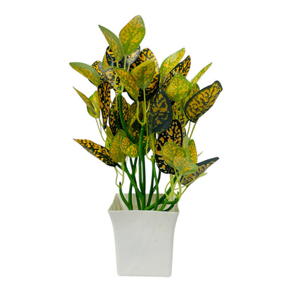 DS Home Plant Pot for Happiness