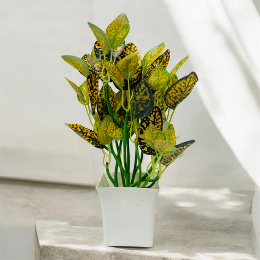 DS Home Plant Pot for Happiness