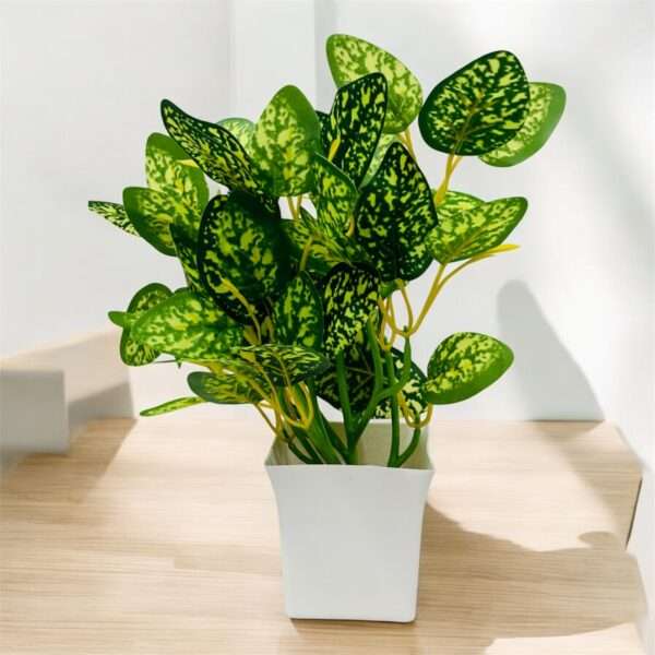 Green Char Plant Pot for Home