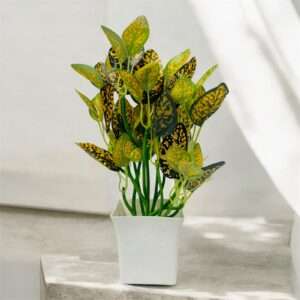 DS Home Plant Pot for Happiness