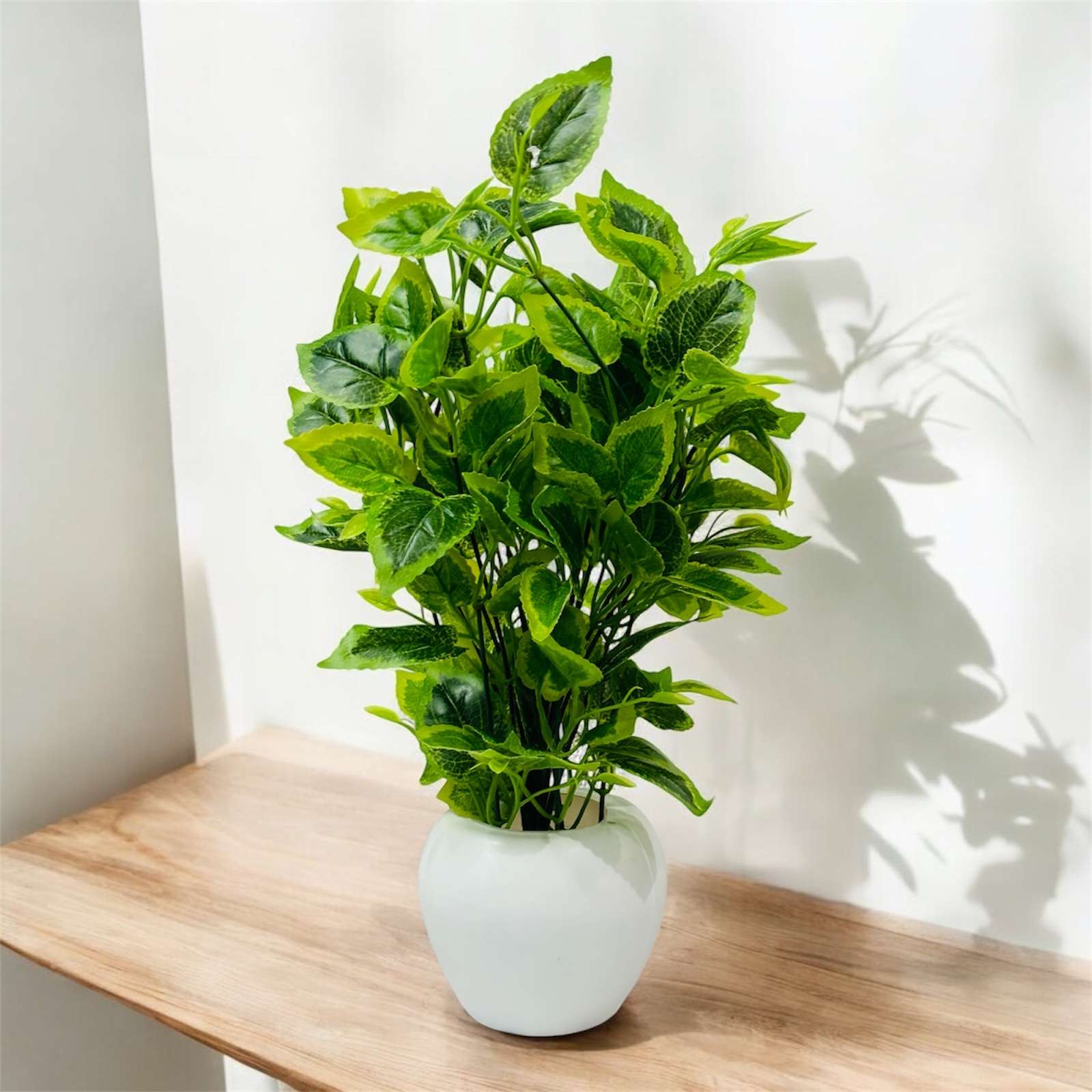 Green Leaf Plant Pot for Home